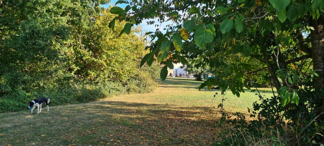 Le Coq En Repos Bed & Breakfast Saint-Sylvestre-sur-Lot Eksteriør bilde